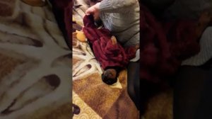 Лиза одевается