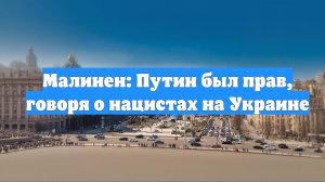 Малинен: Путин был прав, говоря о нацистах на Украине