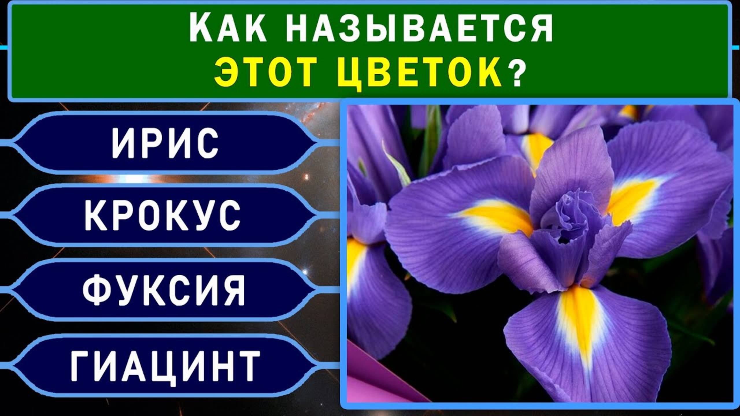 ТЕСТ НА ЭРУДИЦИЮ из 25 ВОПРОСОВ. Проверь свои знания #тестнакругозор #эрудиция