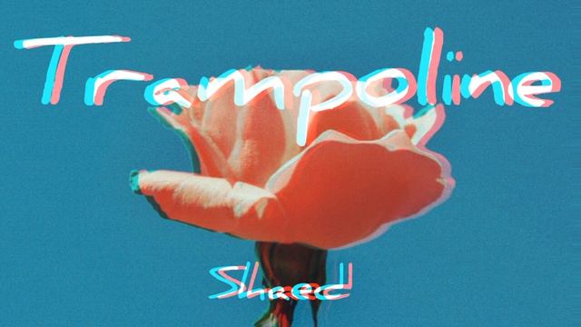 Shaed - Trampoline (ringtone)
