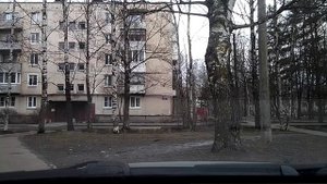 #4054 /20-03-25 г / Из СПб через Пушкин, ч.2...