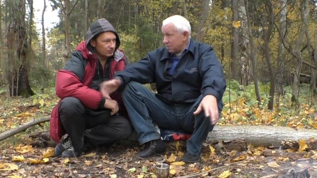 Брухо Shamanis  a