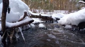 Лесные просторы 🌲 Вело 🚲 покатушка ☀