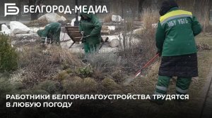 Работники Белгорблагоустройства делают всё, чтобы город скорее окутала весенняя красота