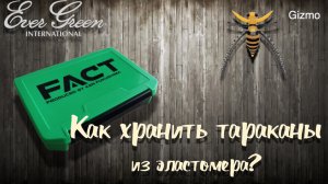 Как хранить тараканы из эластомера?