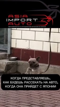 #Asiaimportavto #азия #азияимпортавто #автоизяпонии #автоизкореи #автоизкитая