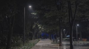 Мягкий шум дождя. Избавиться от бессонницы 🌧️ Ночной дождь в парке