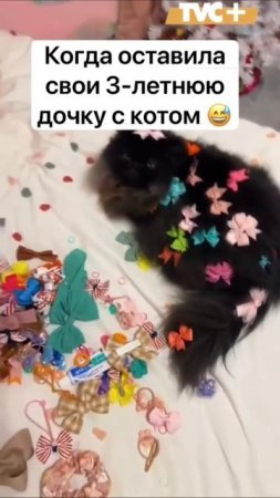 Клип @tvcplus