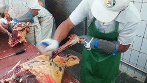 14 августа 2021 г. Обвалка говядино бёдра