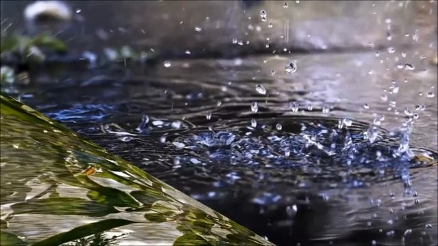 СЛЕЗЫ ДОЖДЯ... муз. и исп. Александр Сумин смотреть онлайн