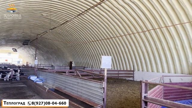 Утепление ангара для содержания коров. Почему стоит выбрать ППУ? смотреть онлайн