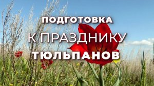 Гость в студии. Подготовка к празднику тюльпанов (19.03.2025)