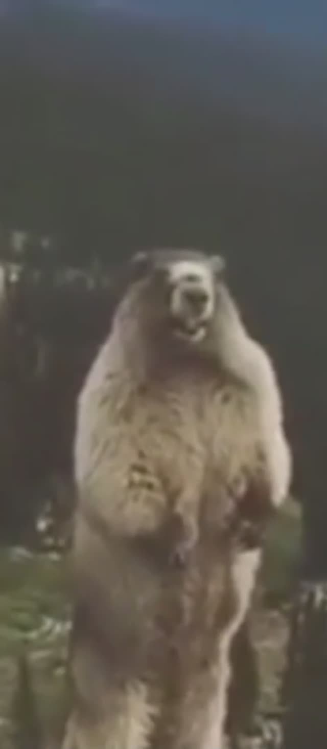 Адский ржач треш трешовый о стрессе