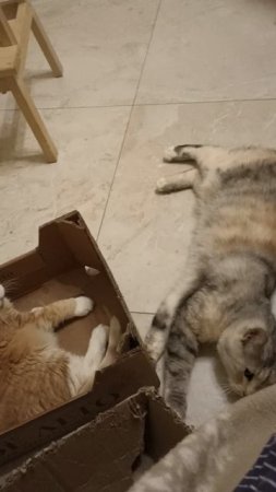 С чего начинается игра.