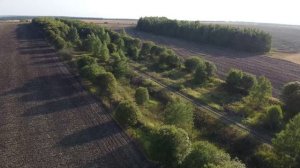 Тульская область. Чернский район. Окрестности села Липицы-Зыбино. 01