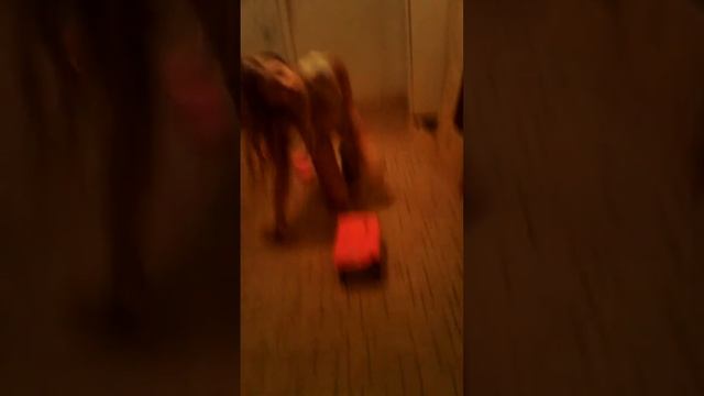 Растяжка на  продольный шпагат учитесь!!!😎😄