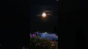 Природа красота
