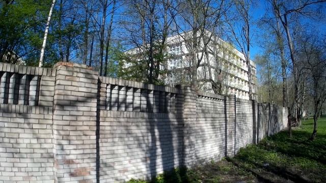 ПНД и психбольница в башке.