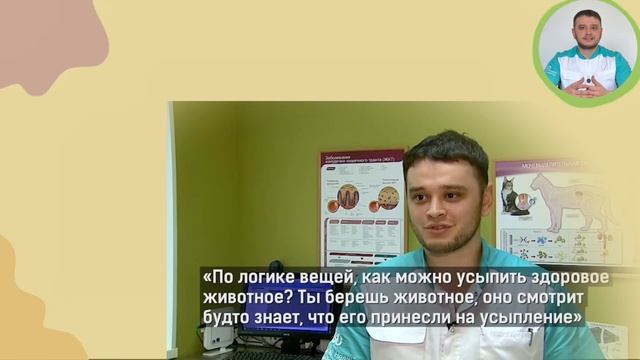 Наш ветеринарный сервис Айболит Комьюнити