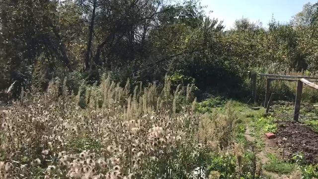 Продажа Стряпково дом 24