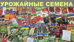 Лучшие сорта по итогам 2024/Буду сажать/Урожайные и вкусные. Обзор семян