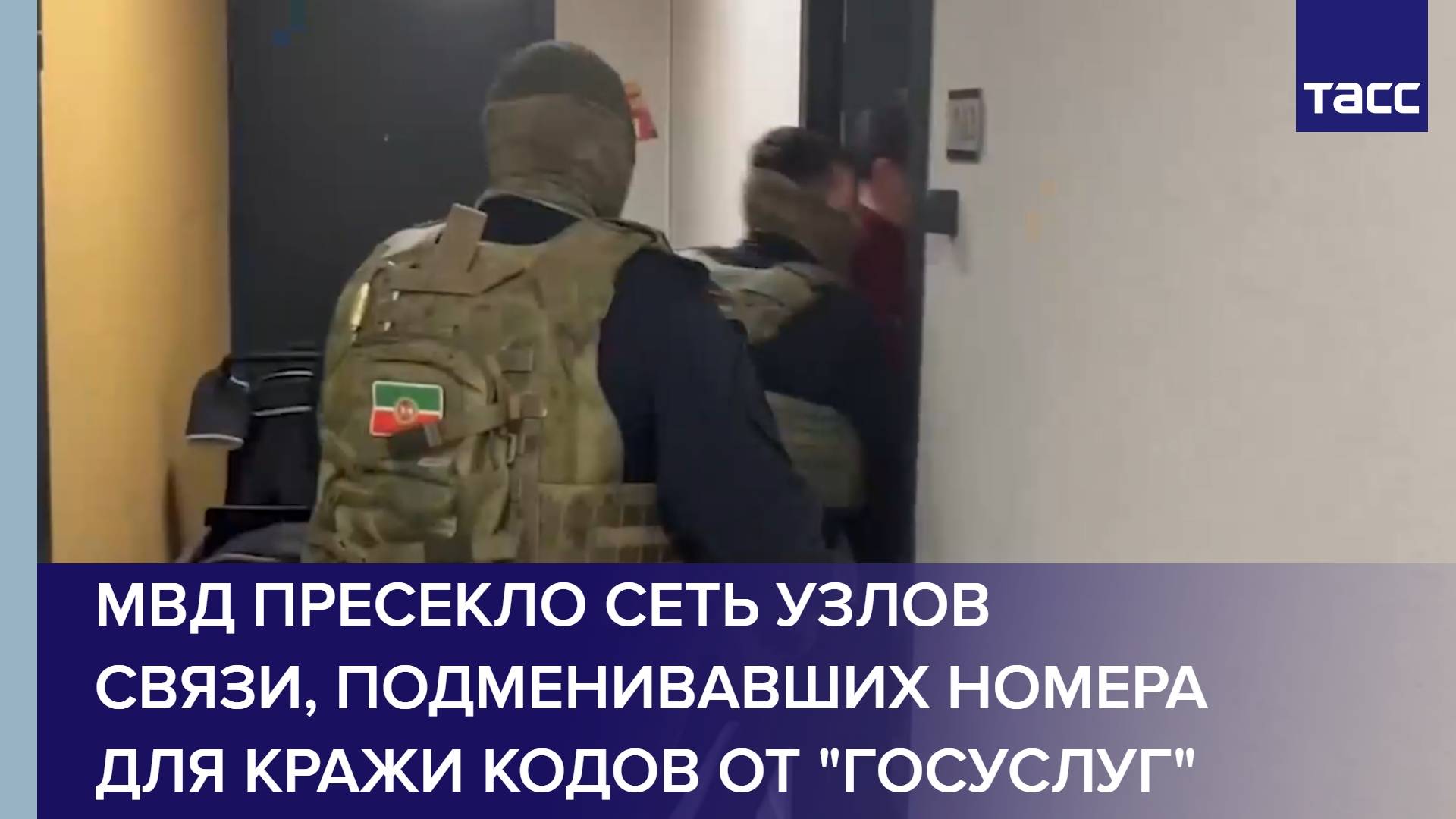 МВД пресекло сеть узлов связи, подменивавших номера для кражи кодов от "Госуслуг"