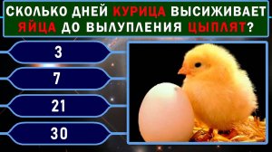 ВЫ РЕДКИЙ ИНТЕЛЛЕКТУАЛ, если знаете ответы на 7 из 10 вопросов. Неожиданный тест на эрудицию!