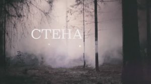 Фильм "Стена"
