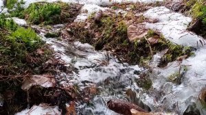 Журчания ручейка