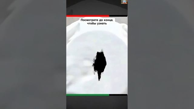 Лайфхаки для одежды