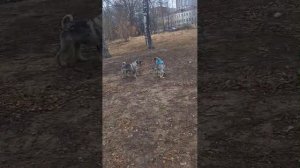 1000064233.mp4