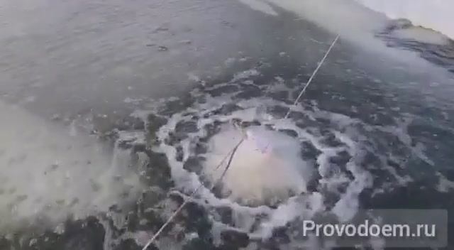 Аэратор для рыбхоза на поплавке. Испытание.