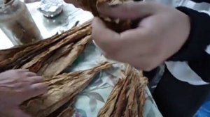 Подготовка табака к ферментации!