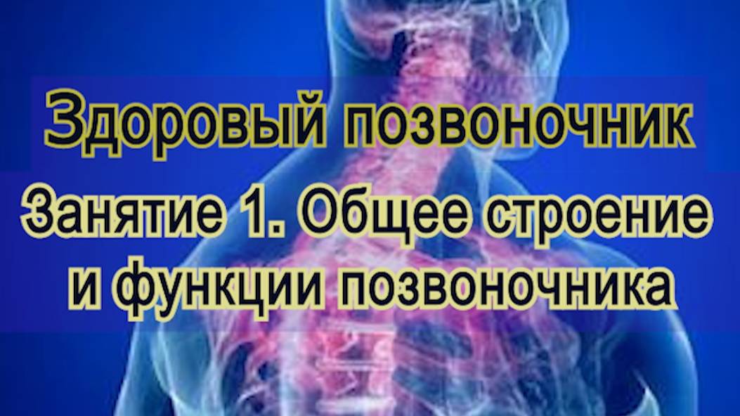 Занятие 1. Общее строение и функции позвоночника