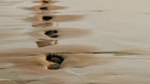 В прошлой жизни