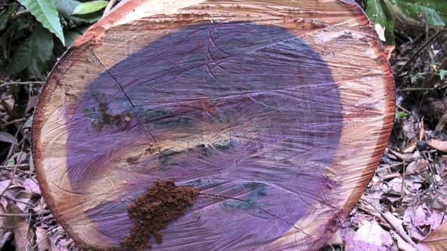 How to Make a Custom Cutting Board - Roger Grimes - The Kennesaw Woodpecker смотреть онлайн