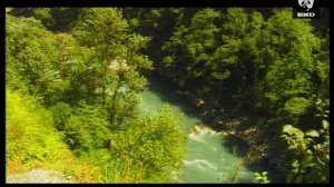 Непутевые заметки 15.07.2001