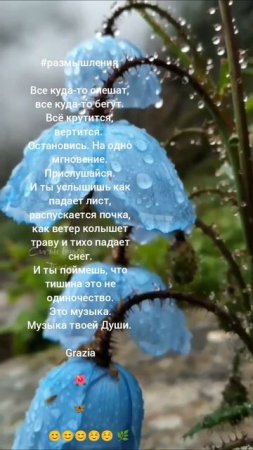 Блокируя свои желания, вы перекрываете естественный путь роста.

 Дипак Чопра 
➖➖
Елена Митрофанова