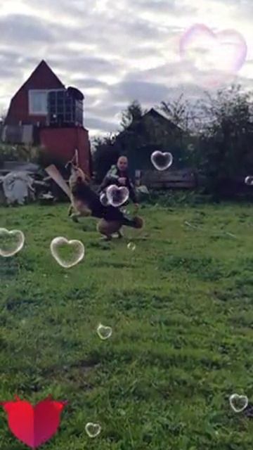 Ловец фризби. смотреть онлайн