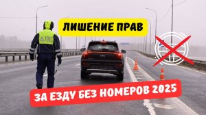 Лишение прав за езду без номеров 2025