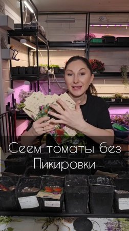 Посев томатов на рассаду без пикировки.