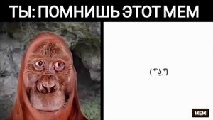 помнишь этот мем:
мистер исключительный мем тролфейс