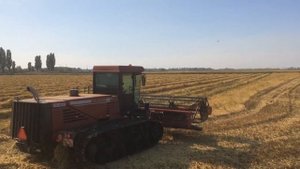 Уборка риса 2019