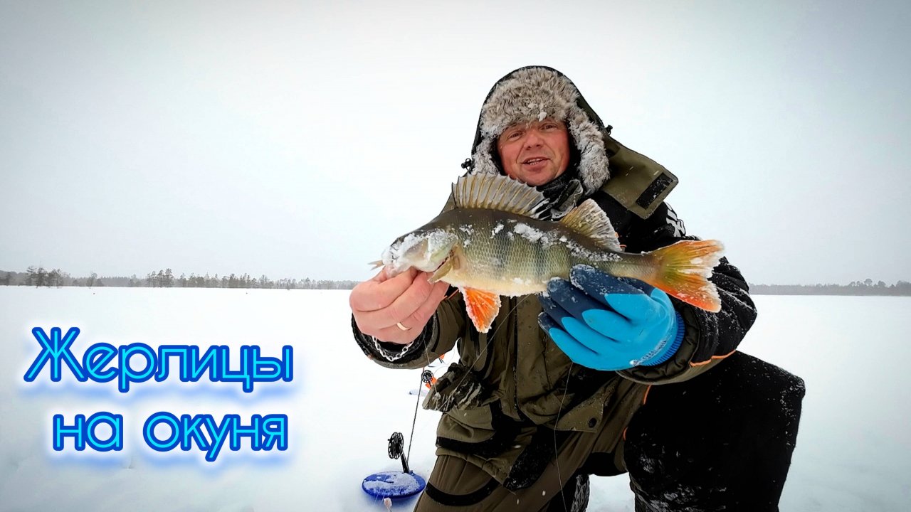 ЖЕРЛИЦЫ ДЛЯ ОКУНЯ