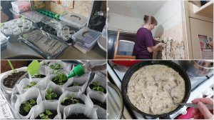 Рассада🌱 / Обновление стен в прихожей / Вкусный ужин