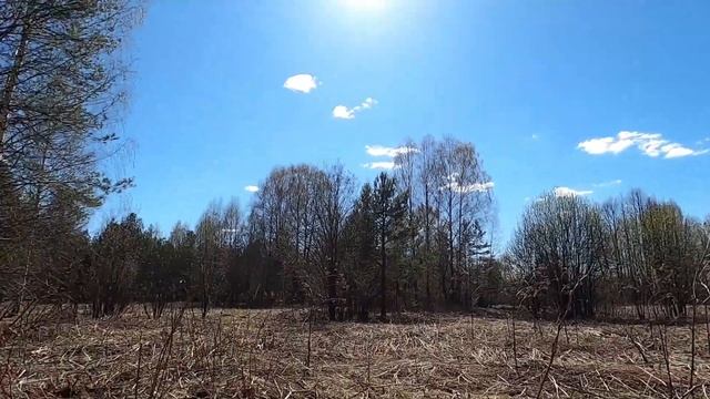 КРУТЫЕ НАХОДКИ НА ПОВЕРХНОСТИ — КОП В 30 КМ ОТ ДОМА.