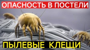ПЫЛЕВЫЕ КЛЕЩИ.ОПАСНОСТЬ В ВАШЕЙ КРОВАТИ. ОТКУДА БЕРУТСЯ? И КАК БОРОТЬСЯ? НАРОДНЫЕ СПОСОБЫ.