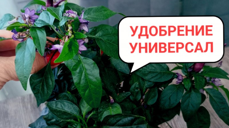 Это удобрение Универсал. Подходит для любых растений