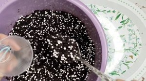 Пересадка фиалочек.