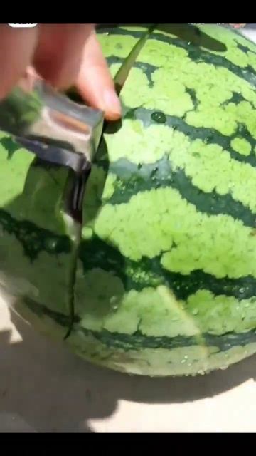 Why do I love summer?